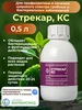Интернет‑магазин Wildberries: широкий ассортимент товаров - скидки каждый день!